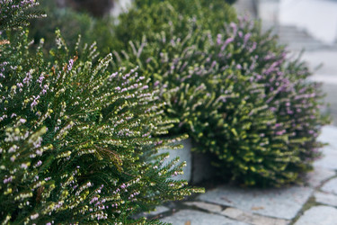 Similar image 21757311