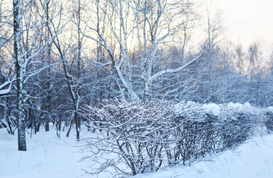 Similar image 21757315