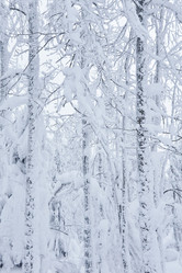 Similar image 21757319