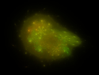 Similar image 21759966