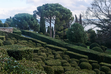 Similar image 21752020