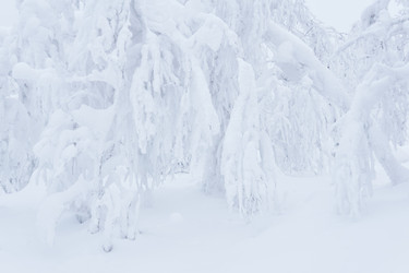 Similar image 21752022