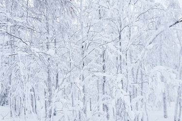 Similar image 21752025