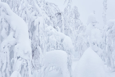 Similar image 21752716