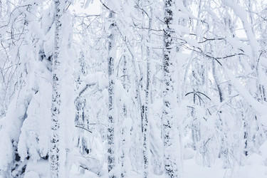 Similar image 21752723