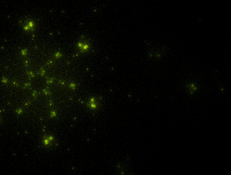 Similar image 21759455