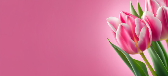 Similar image 21751762