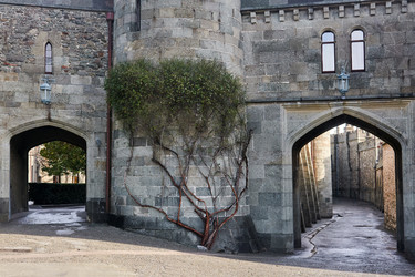 Similar image 21753983