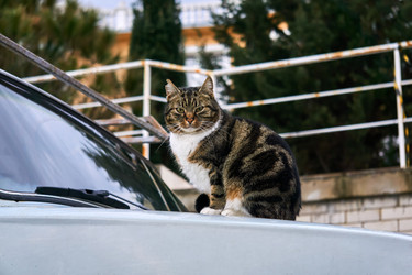 Similar image 21754173