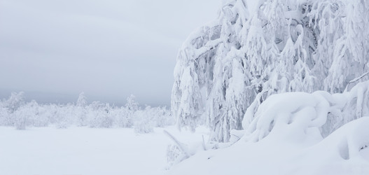 Similar image 21754175