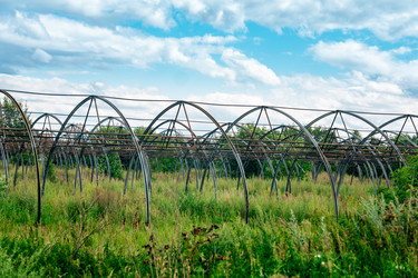 Similar image 21754177