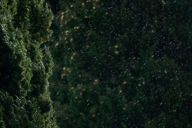 Similar image 21754385