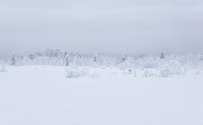 Similar image 21754387