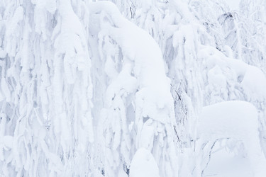 Similar image 21754596