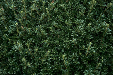 Similar image 21755374