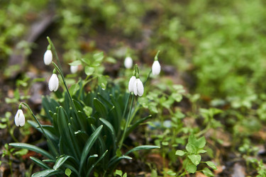 Similar image 21755634