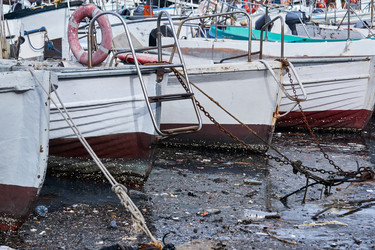 Similar image 21755639