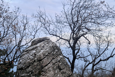 Similar image 21755640