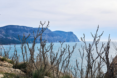 Similar image 21755826