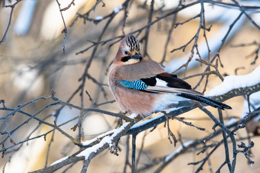 Similar image 21751858