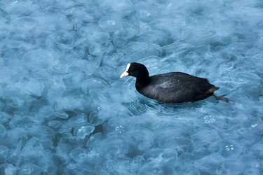 Similar image 21756413