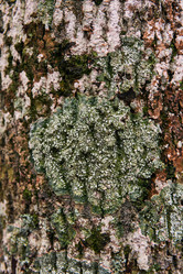 Similar image 21756418