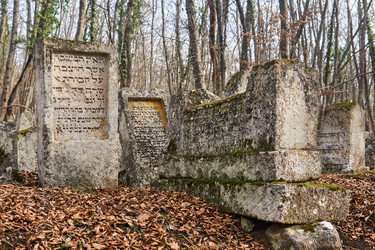 Similar image 21756602