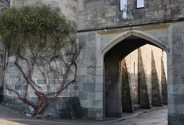 Similar image 21757327