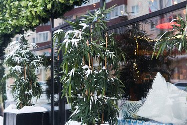 Similar image 21751823