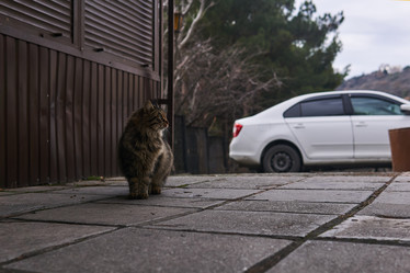 Similar image 21752348