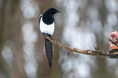 Similar image 21752057