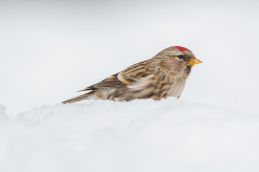 Similar image 21752215