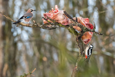 Similar image 21751860