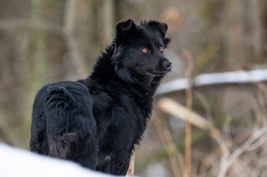 Similar image 21752218