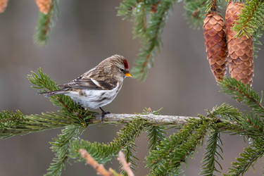 Similar image 21752219