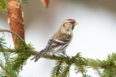 Similar image 21752221