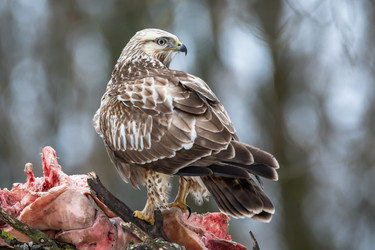 Similar image 21751863