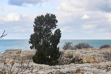 Similar image 21756977