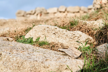 Similar image 21756987