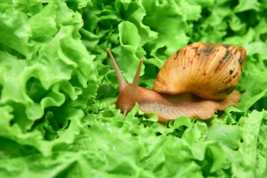 Similar image 21757028