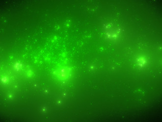 Similar image 21759972