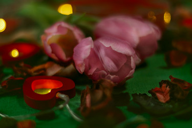 Similar image 21752070