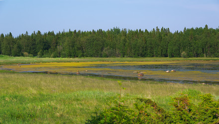 Similar image 21752886