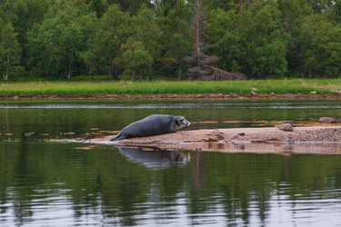 Similar image 21752900