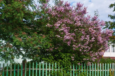 Similar image 21752920