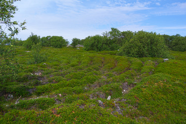 Similar image 21752923