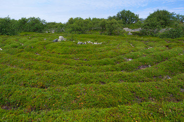 Similar image 21752924