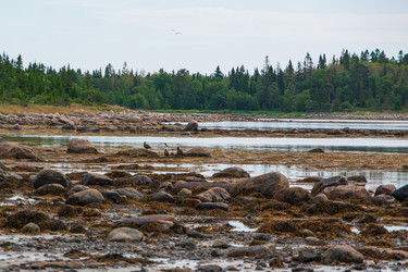 Similar image 21752925