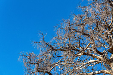 Similar image 21754812