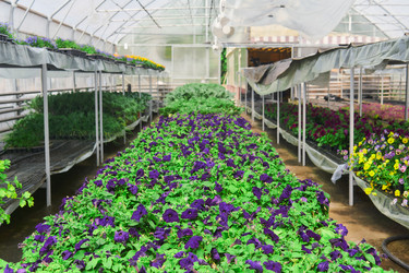 Similar image 21755837